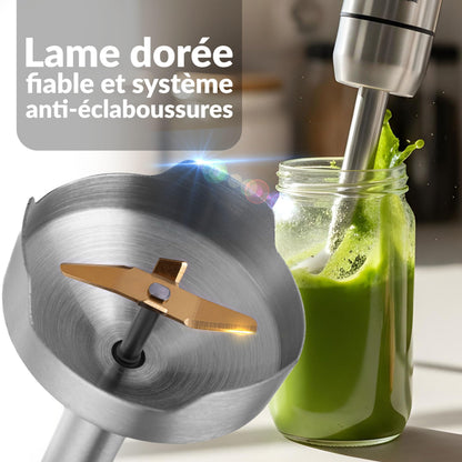 Lehmann Chowmei Mixeur plongeant 1200 W, Mixeur Plongeur avec 8 niveaux de vitesse en acier inoxydable, Mixeur blender pour Aliments pour Bébé, Soupe, Sauce et Purée, Accessoires du mixer inclus
